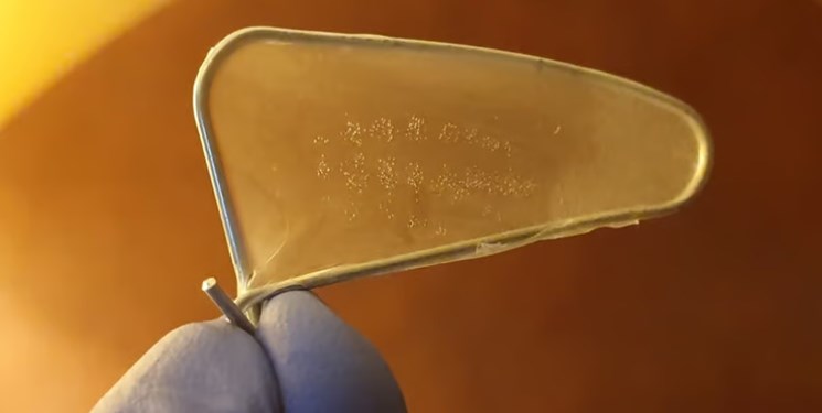 14020421000142 Test PhotoN