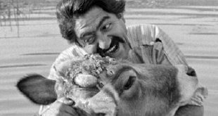 از یک دقیقه سکوت برای داریوش مهرجویی تا پیشنهاد نمایش فیلم «گاو»