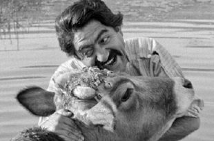 از یک دقیقه سکوت برای داریوش مهرجویی تا پیشنهاد نمایش فیلم «گاو»