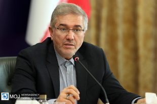 دولت با ورود شورای رقابت به حوزه پتروشیمی‌ها مخالف است