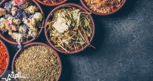 صلاحیت پزشکان متخصص را در این سایت استعلام بگیرید