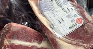 قیمت گوشت با توزیع واردات رو به کاهش است