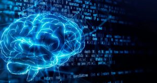 کبوترها و هوش مصنوعی روش یکسانی برای حل مشکلات دارند