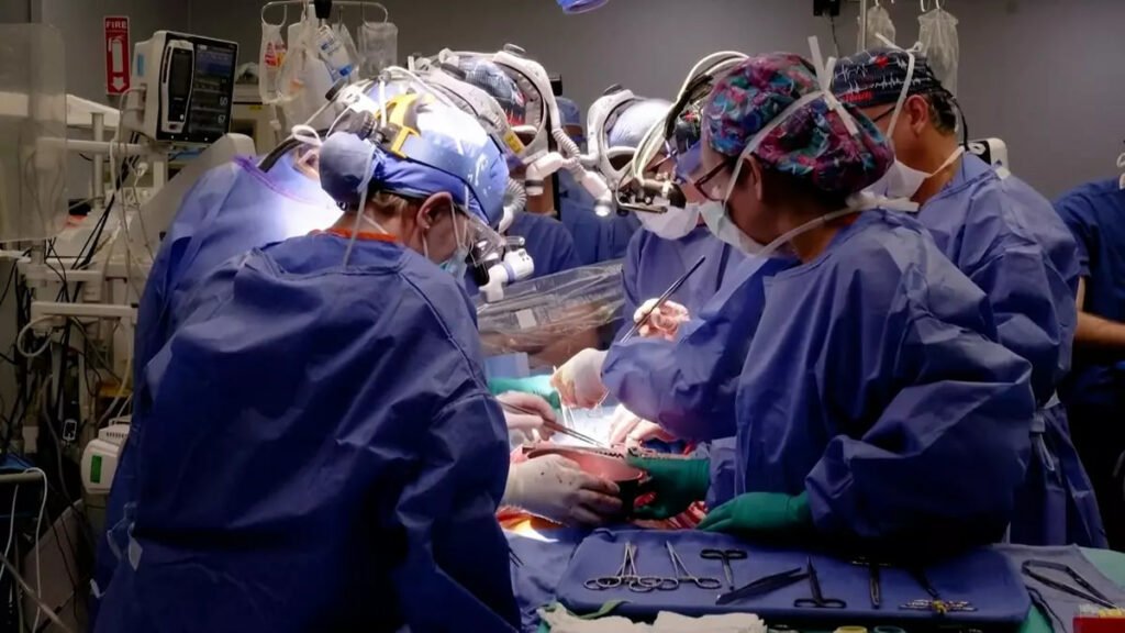 1698881109 882 دومین بیمار دریافت‌کننده قلب خوک به‌دلیل نارسایی قلبی درگذشت