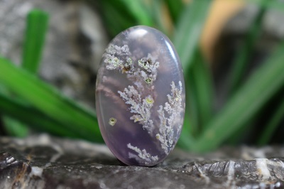 شجر عقیق بنفش