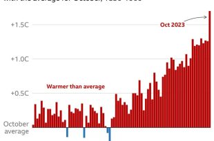 2023 گرم ترین سال ثبت‌شده خواهد بود