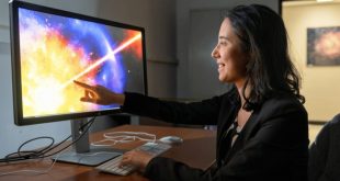 شیطان تاسمانی