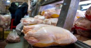 تولید بیش از 200 هزار تن گوشت مرغ در ماه‌های اخیر