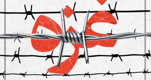 سازمان سینمایی از فیلم‌های با محوریت غزه حمایت می کند