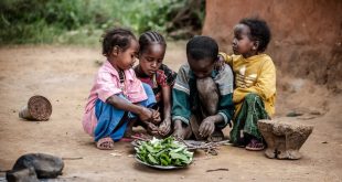 سوءتغذیه و مقاومت آنتی بیوتیکی