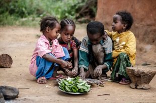 سوءتغذیه و مقاومت آنتی بیوتیکی