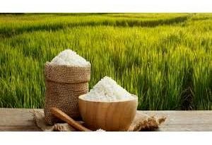 بعد از ۴ ماه ممنوعیت ، ثبت سفارش برنج آزاد شد