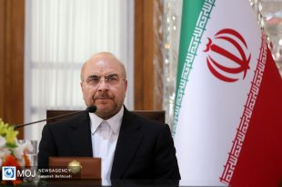 قالیباف بر اهمیت هفته کتاب و تعاملات فرهنگی در کشورهای فارسی زبان تاکید کرد