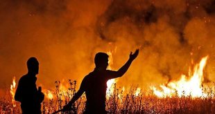 ماهیت کیفر‌ها و پاداش‌ها در برزخ