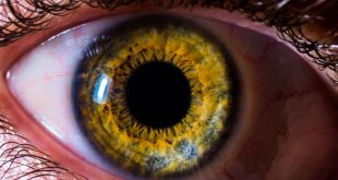 گوش‌‌ها و چشم‌های شما می‌توانند با یکدیگر صحبت ‌کنند