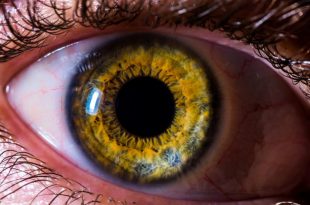 گوش‌‌ها و چشم‌های شما می‌توانند با یکدیگر صحبت ‌کنند