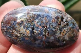 شجر عقیق بنفش1