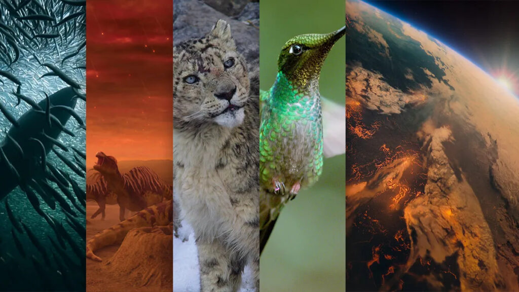 Our Planet