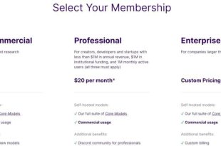 Stability AI اشتراک‌ پولی معرفی کرد؛ هوش مصنوعی برای سازمان‌ها