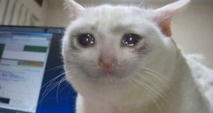 راهنمای خرید کامپیوتر گیمینگ اقتصادی