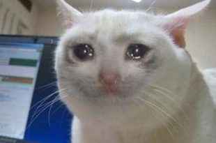 راهنمای خرید کامپیوتر گیمینگ اقتصادی