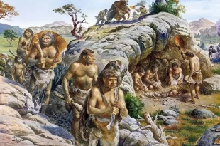 سطح کربن دی اکسید اتمسفر هنگام تکامل انسان ها