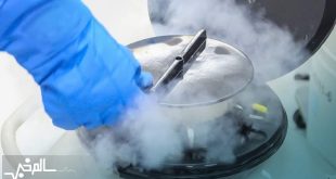 فریز تخمک برای دختران مجرد بالای ۳۰ سال بیمه شد