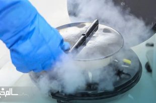 فریز تخمک برای دختران مجرد بالای ۳۰ سال بیمه شد