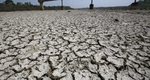 هند برای پیش‌بینی بحران‌های آب‌وهوایی از هوش مصنوعی کمک می‌گیرد