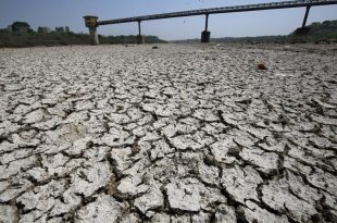 هند برای پیش‌بینی بحران‌های آب‌وهوایی از هوش مصنوعی کمک می‌گیرد