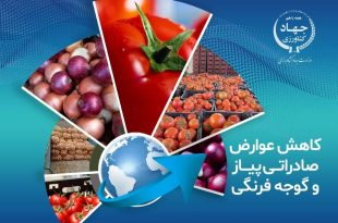 کاهش عوارض صادراتی پیاز و گوجه فرنگی زراعی