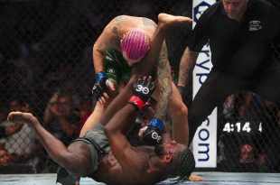 بهترین های UFC در سال 2023