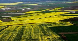 تاکنون ۴۵ درصد اراضی کشور سنددار شده است