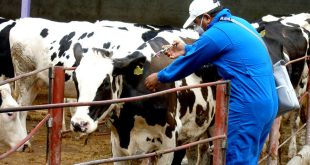 تاسیس مرکز تحقیقات بیماری‌های منتقله از دام و فراورده‌های دامی سازمان دامپزشکی