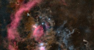 شکارچی که تقریباً می‌توانید ببینید