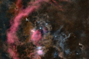 شکارچی که تقریباً می‌توانید ببینید