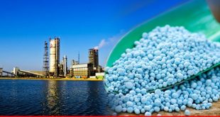 صادرات پتروشیمی پردیس به آفریقا متوقف نشده است/ افزایش ناگهانی نرخ خوراک و سوخت چالش واحد‌های تولیدکننده اوره