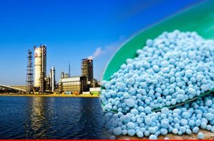 صادرات پتروشیمی پردیس به آفریقا متوقف نشده است/ افزایش ناگهانی نرخ خوراک و سوخت چالش واحد‌های تولیدکننده اوره