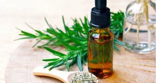 صادرات ۸ میلیون دلاری انواع فرآورده‌های گیاهان دارویی/اجرای کامل سند ملی گیاهان دارویی