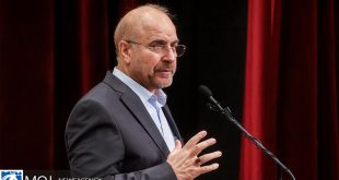 مجلس به بازار گوشت قرمز، مرغ و برنج ورود می‌کند