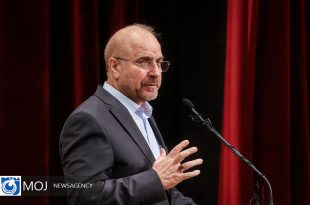 مجلس به بازار گوشت قرمز، مرغ و برنج ورود می‌کند