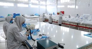 استفاده از ظرفیت شرکت‌های دانش بنیان برای جلوگیری از خام‌فروشی