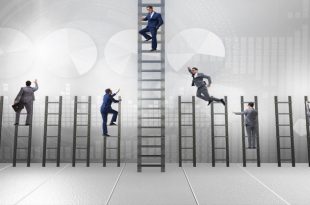 کارمندانی که به دنبال ارتقای شغلی هستند