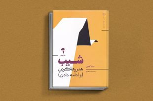 شیب از کتاب های ست گودین