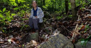 کشف یک جنگل گمشده 23 میلیون ساله در پاناما! + عکس