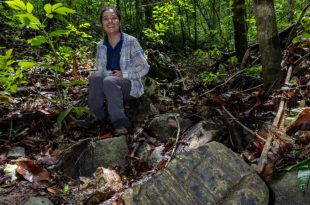 کشف یک جنگل گمشده 23 میلیون ساله در پاناما! + عکس