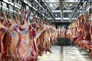 ایران با خودکفایی تولید گوشت فقط یک گام فاصله دارد