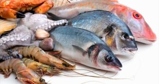 ایران تأمین کننده غذای کشورهای همسایه است