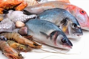 ایران تأمین کننده غذای کشورهای همسایه است