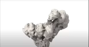 برای اولین‌بار ویدیویی از مهم‌ترین فرایند تقسیم سلولی منتشر شد